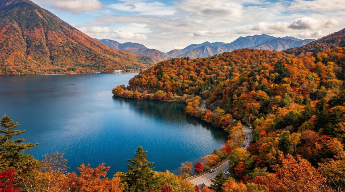 ניקו - טוקיו