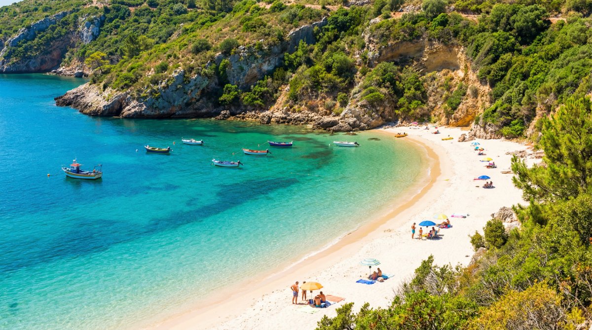 הפארק הלאומי אראבידה - שייט לצפייה בדולפינים